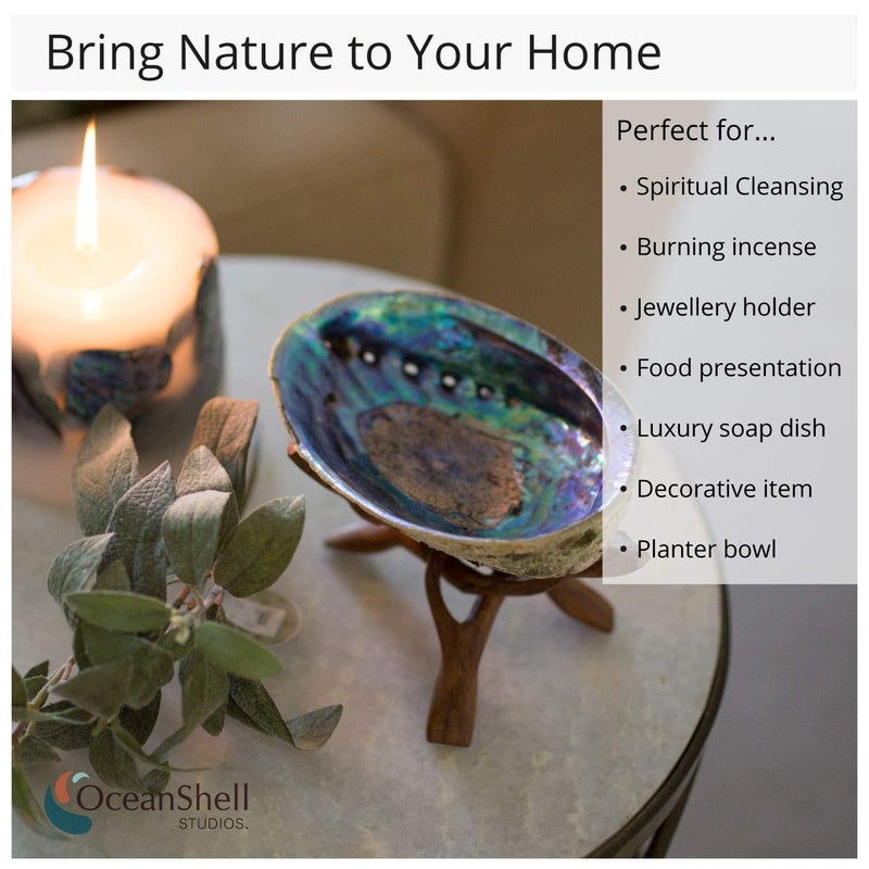 Ocean Shell Studios. Natural Abalone (PÄua) Shell, with Stand,6-6.5 Inches,Supreme for Smudging,Cleansing Home,Meditation,Shell Crafts,Incense Holder,100% Natural, Sustainably Sourced by Ocean Shell Studios NZ - Image 5